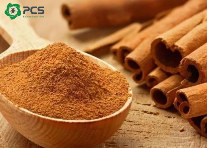 cách diệt kiến đen trong nhà